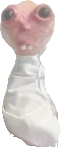 Rat