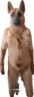 Scary Dog